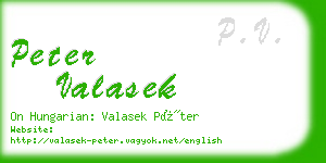 peter valasek business card